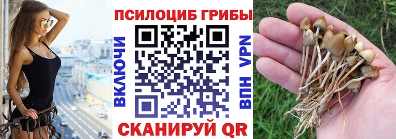 Галлюциногенные грибы Magic Shrooms  Туринск 